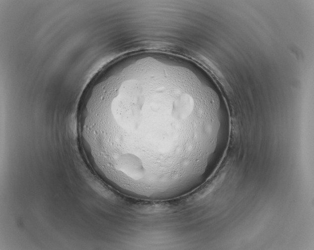X0000114000891200910161706