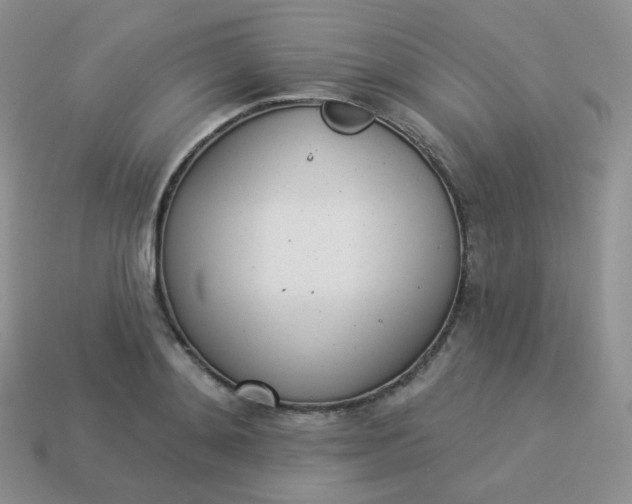 X0000114000892200910161706