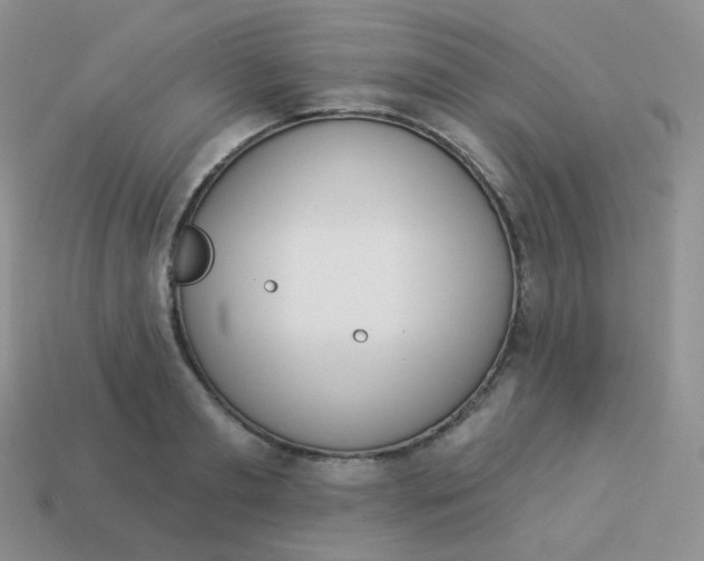 X0000114000893200910161706