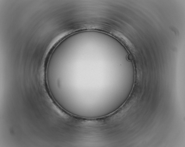 X0000114000894200910161706