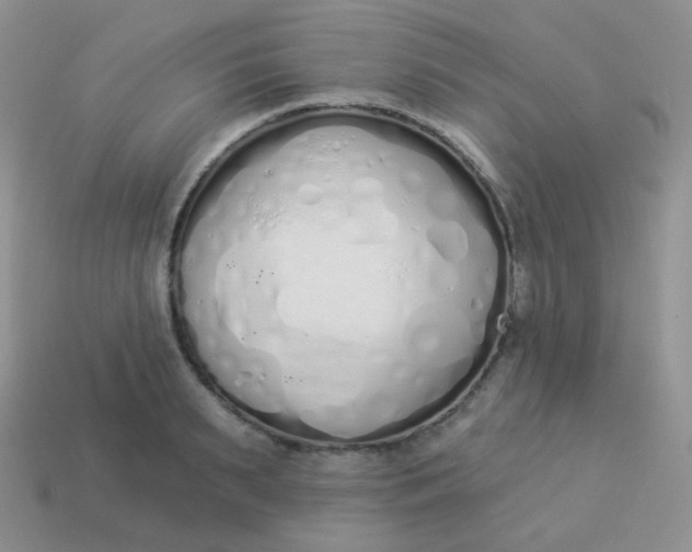 X0000114000895200910161706