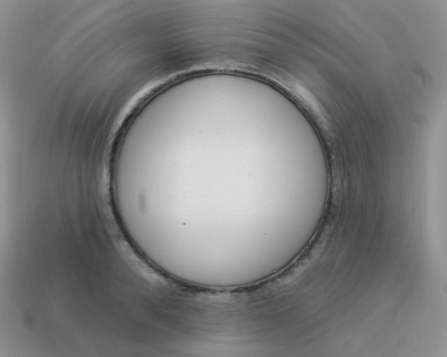 X0000114000896200910161706
