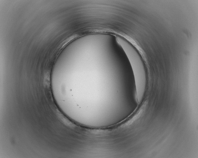 X0000114000897200910161706