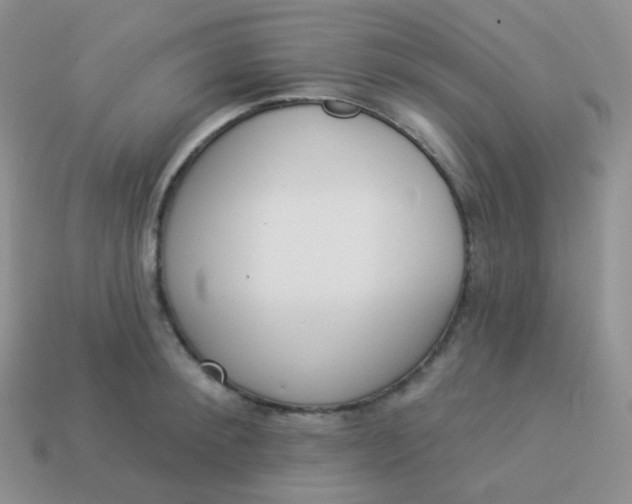 X0000114000900200910161706