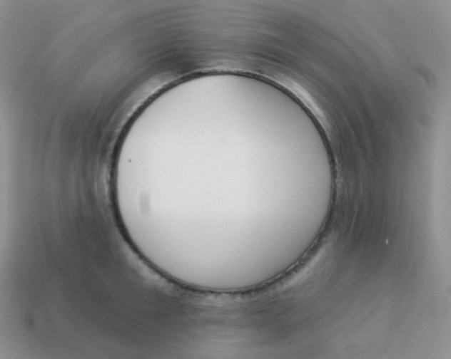 X0000114000901200910161706