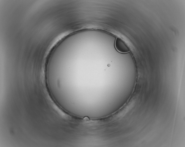 X0000114000902200910161706
