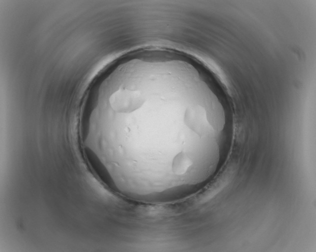X0000114000903200910161706