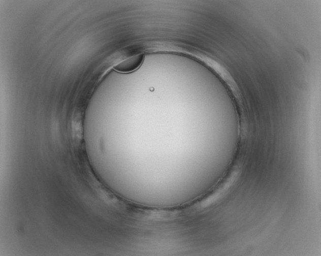 X0000114000905200910161706