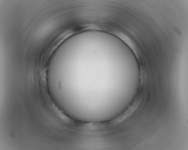 X0000114000906200910161706