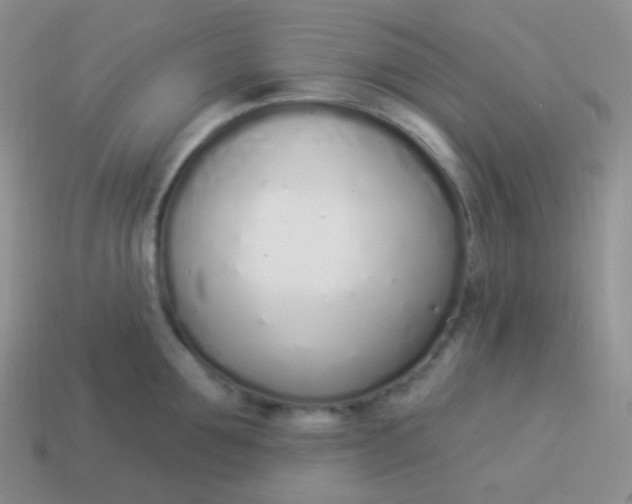 X0000114000907200910161706