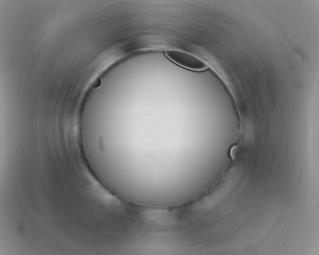 X0000114000909200910161706
