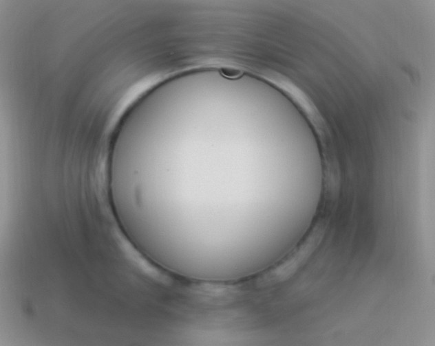 X0000114000910200910161706