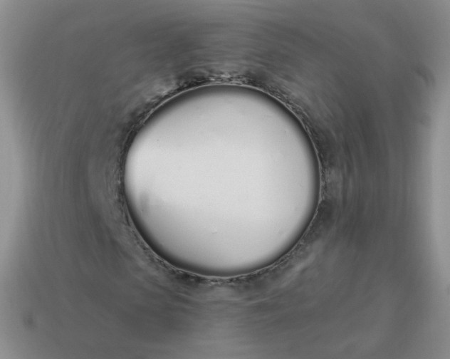 X0000114000913200910161705