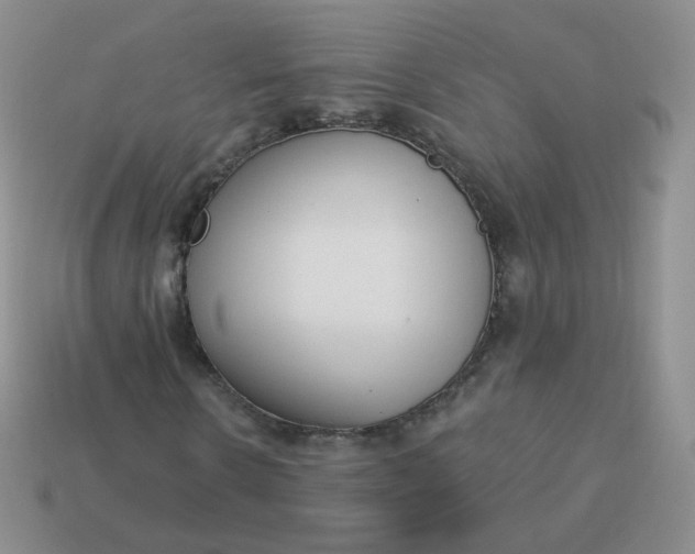 X0000114000914200910161705