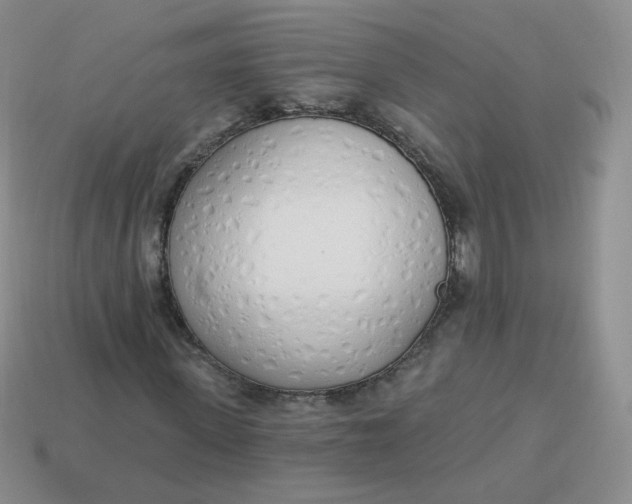 X0000114000915200910161705