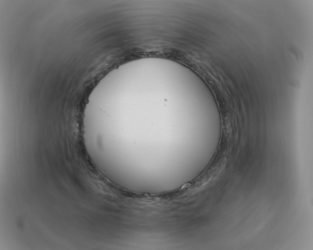 X0000114000916200910161705