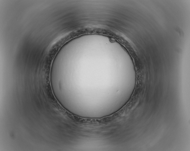 X0000114000919200910161705