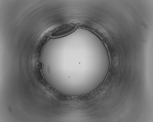 X0000114000920200910161706