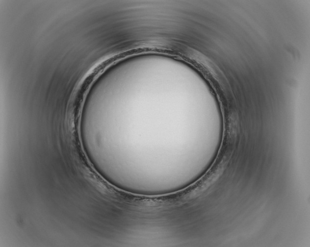 X0000114000923200910161706