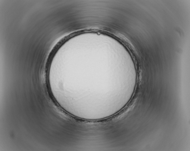 X0000114000924200910161706