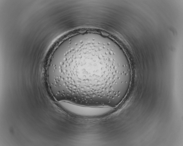 X0000114000926200910161706