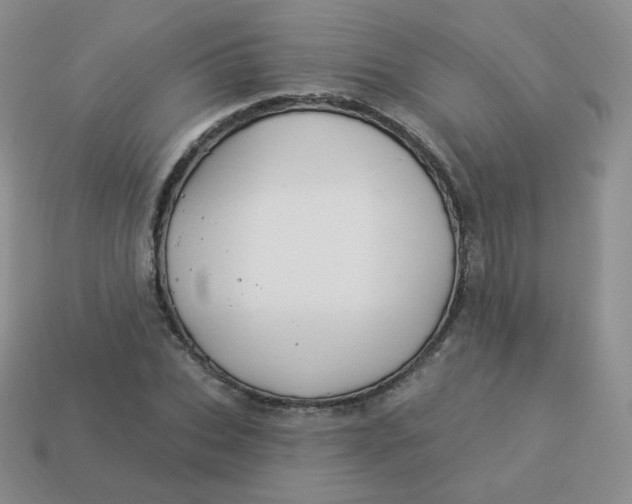 X0000114000927200910161706
