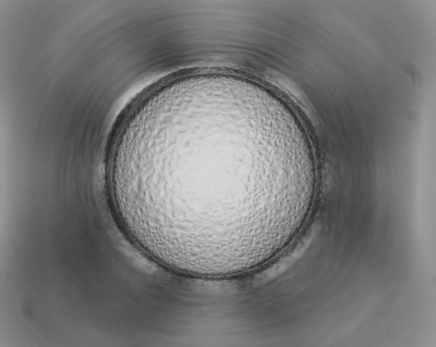 X0000114000928200910161706