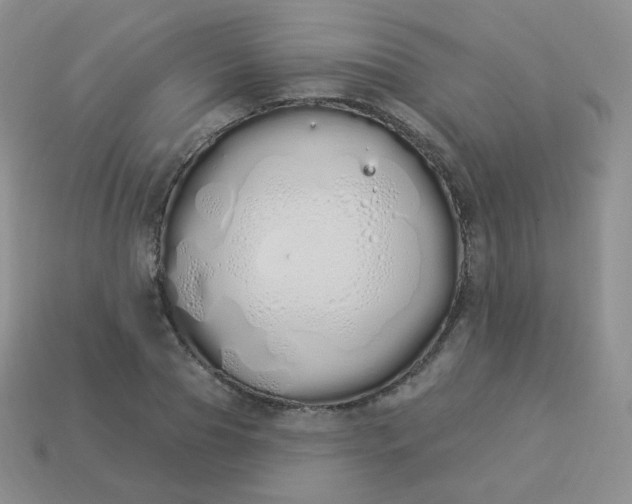 X0000114000929200910161706