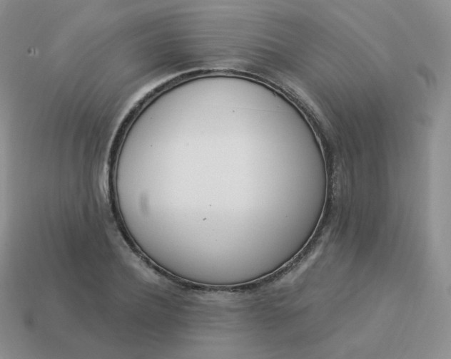 X0000114000932200910161706