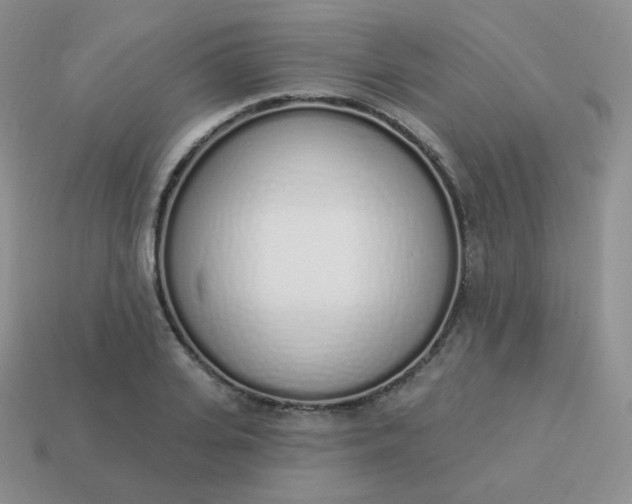 X0000114000935200910161706