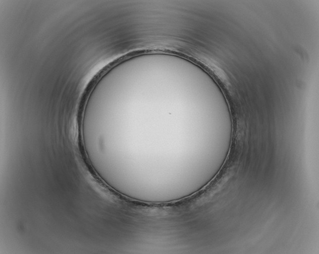 X0000114000936200910161706
