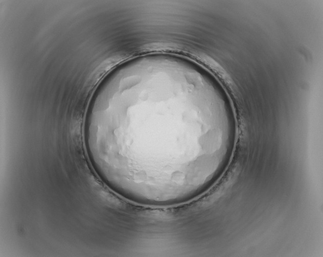 X0000114000937200910161706