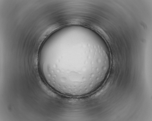 X0000114000938200910161706