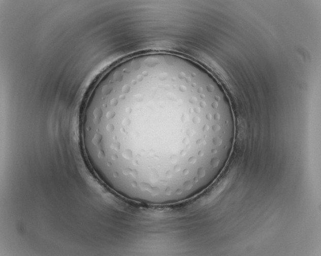 X0000114000939200910161706