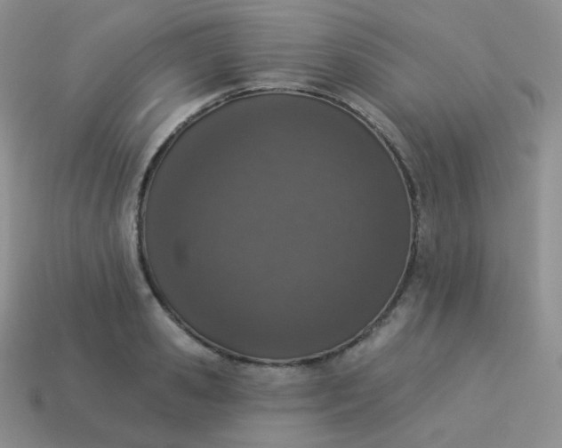 X0000114000941200910161706