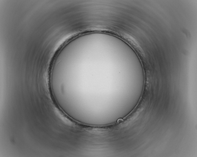 X0000114000942200910161706