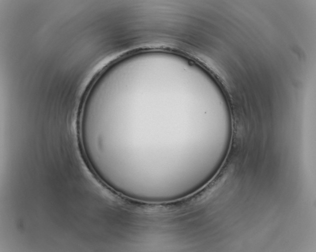 X0000114000943200910161706