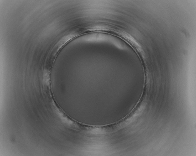 X0000114000945200910161706