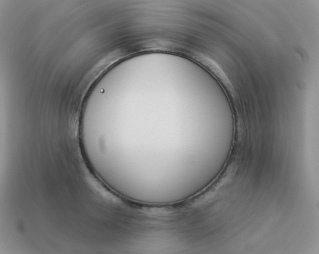 X0000114000946200910161706