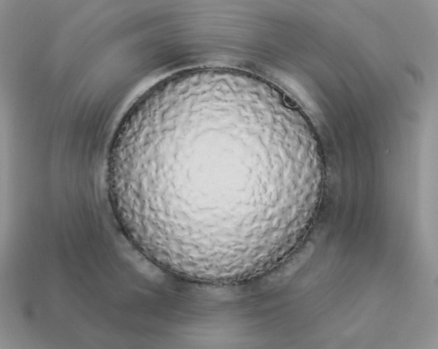 X0000114000948200910161706