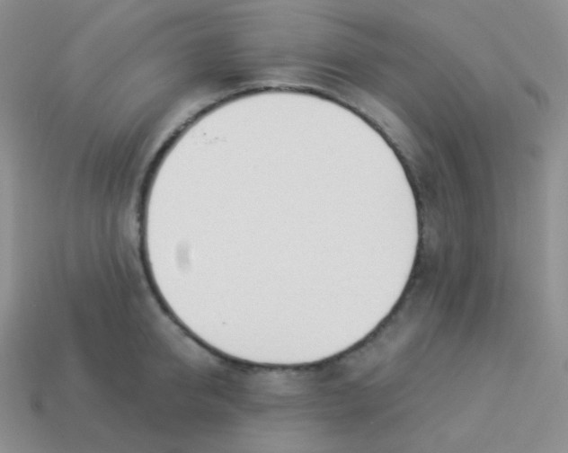 X0000114000950200910161706