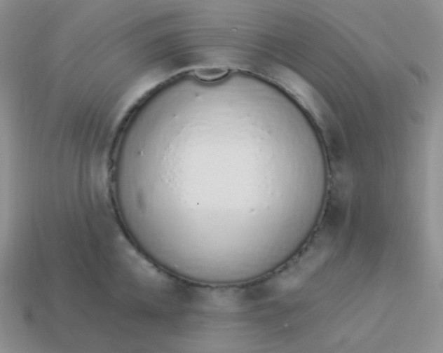X0000114000952200910161706