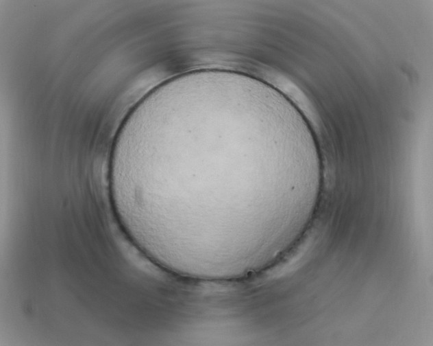 X0000114000954200910161706