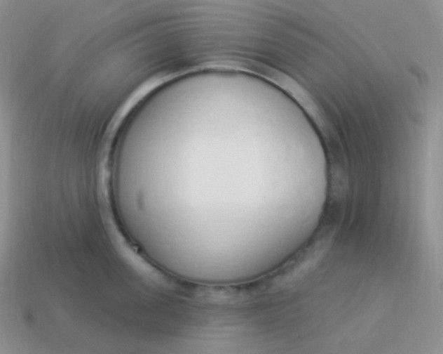 X0000114000955200910161706