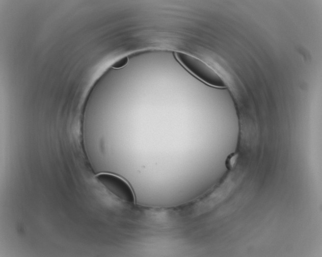 X0000114000956200910161706