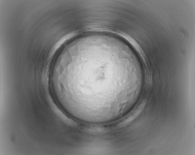 X0000114000957200910161706