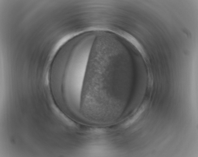 X0000114000958200910161706