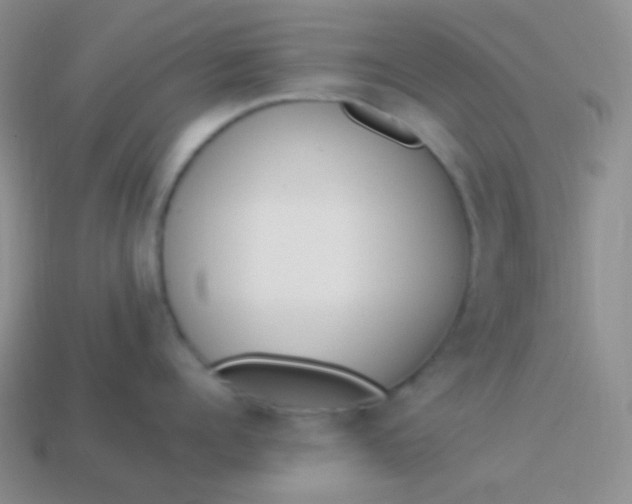 X0000114000960200910161706