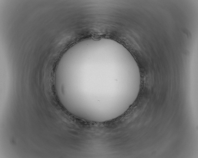 X0000114000961200910161705