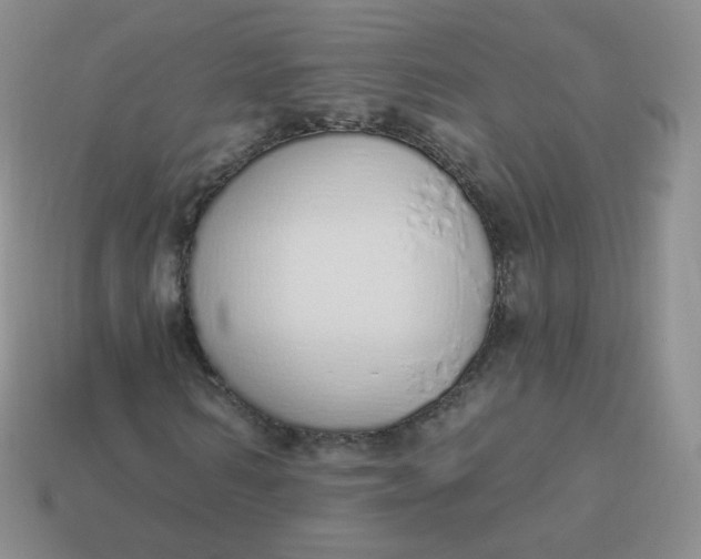 X0000114000962200910161705